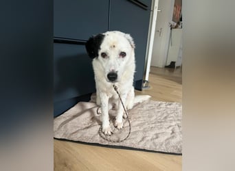 freundliche, liebe Seniorin CARLA