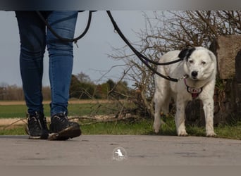 wundervolle Seniorin Carla