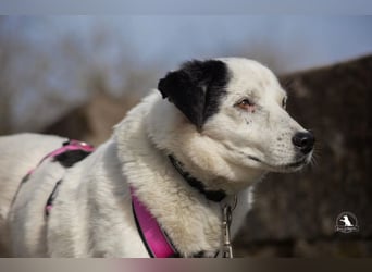 wundervolle Seniorin Carla