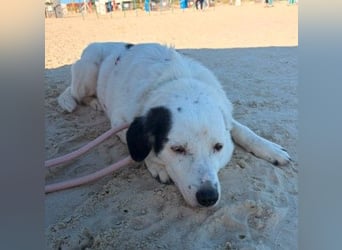 freundliche, liebe Seniorin CARLA