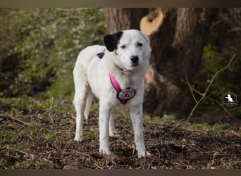 wundervolle Seniorin Carla
