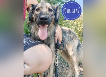 Douglas der Menschenliebende