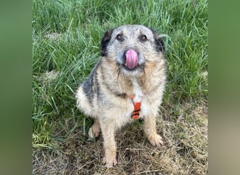 Mars der allerliebste