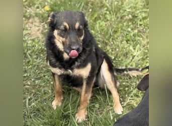 Letty ein freundliches Mädchen