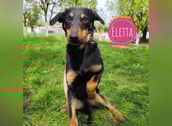 Eletta ein sanfter Engel