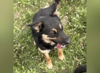 Letty ein freundliches Mädchen