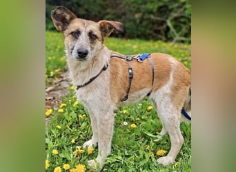 Tina - ein traumhaft lieber Wesen