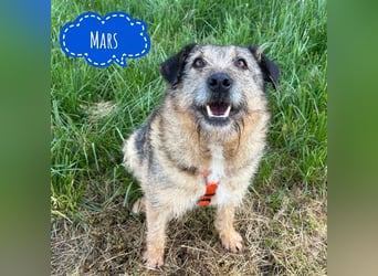 Mars der allerliebste