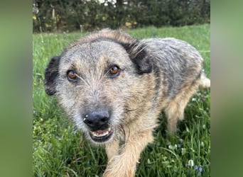 Mars der allerliebste