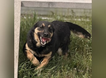 Letty ein freundliches Mädchen