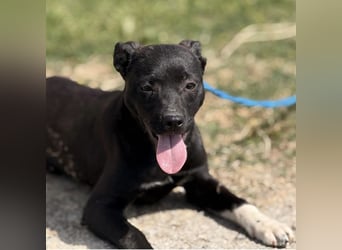 Jenny möchte nicht im Tierheim aufwachsen