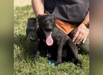 Paulina mag nicht im Tierheim aufwachsen