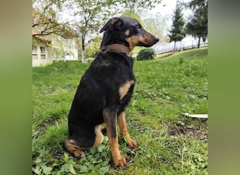 Eletta ein sanfter Engel