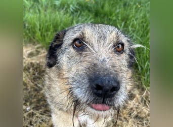 Mars der allerliebste