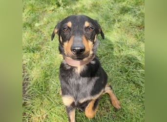 Eletta ein sanfter Engel