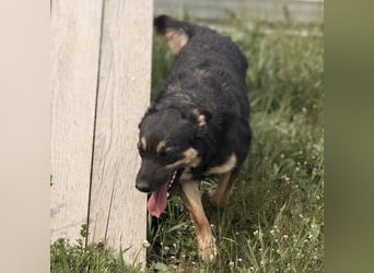 Letty ein freundliches Mädchen