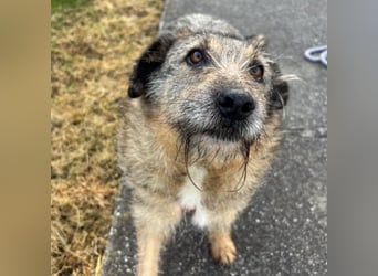 Mars der allerliebste