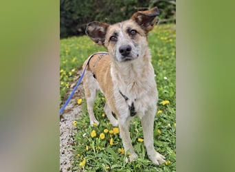 Tina - ein traumhaft lieber Wesen