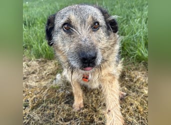 Mars der allerliebste