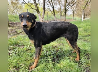 Eletta ein sanfter Engel