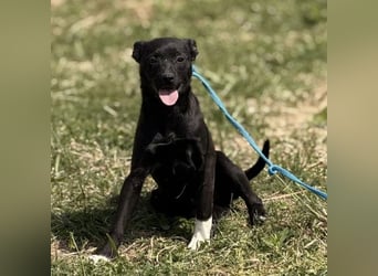 Jenny möchte nicht im Tierheim aufwachsen