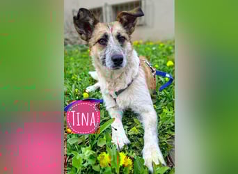 Tina - ein traumhaft lieber Wesen