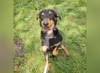 Eletta ein sanfter Engel