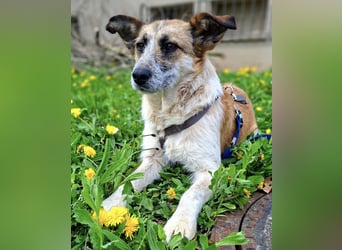 Tina - ein traumhaft lieber Wesen