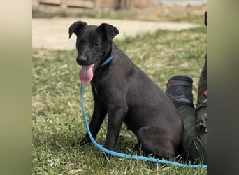 Paulina mag nicht im Tierheim aufwachsen