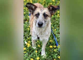 Tina - ein traumhaft lieber Wesen