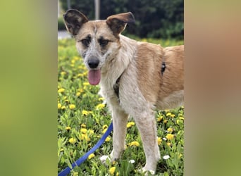 Tina - ein traumhaft lieber Wesen