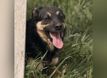 Letty ein freundliches Mädchen