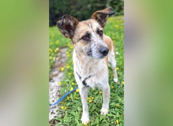 Tina - ein traumhaft lieber Wesen