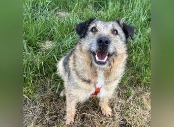 Mars der allerliebste