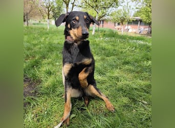 Eletta ein sanfter Engel