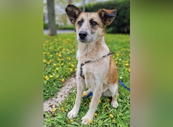 Tina - ein traumhaft lieber Wesen