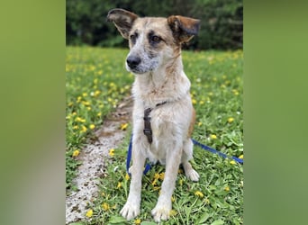 Tina - ein traumhaft lieber Wesen