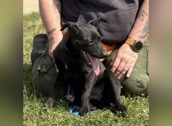 Paulina mag nicht im Tierheim aufwachsen