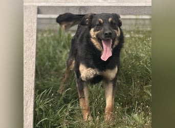 Letty ein freundliches Mädchen