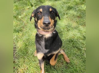 Eletta ein sanfter Engel