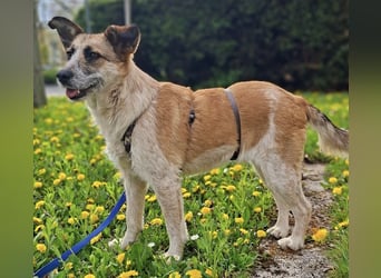 Tina - ein traumhaft lieber Wesen