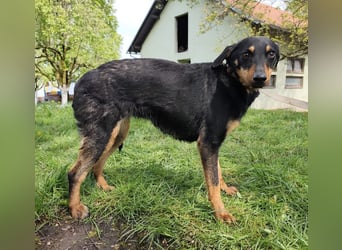 Eletta ein sanfter Engel