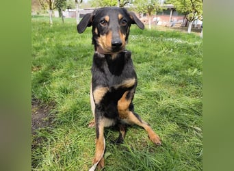 Eletta ein sanfter Engel