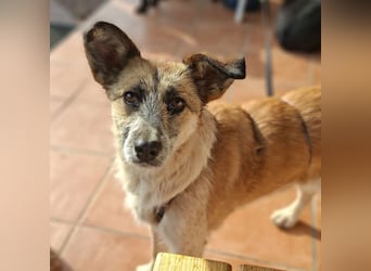 Tina - ein traumhaft lieber Wesen