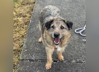 Mars der allerliebste