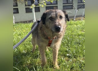 Mars der allerliebste