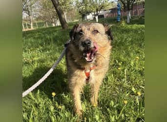 Mars der allerliebste