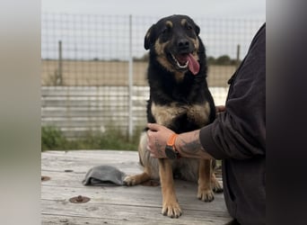 Letty ein freundliches Mädchen
