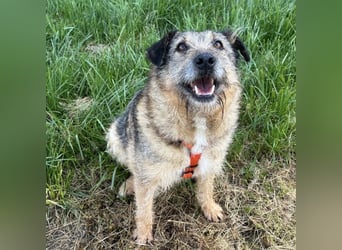 Mars der allerliebste