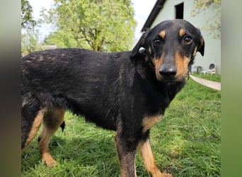 Eletta ein sanfter Engel